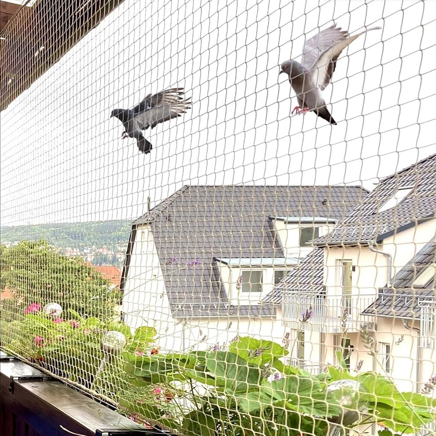 Why Choose Us